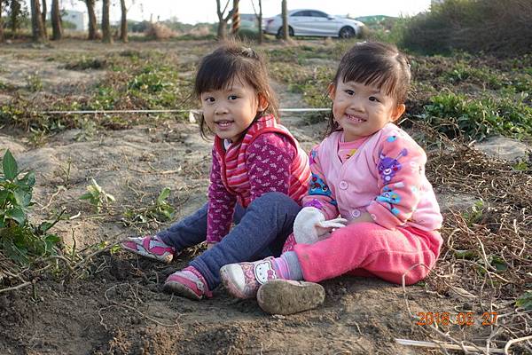 2016-02-27佳里挖地瓜+鹽水月津港 (27).JPG