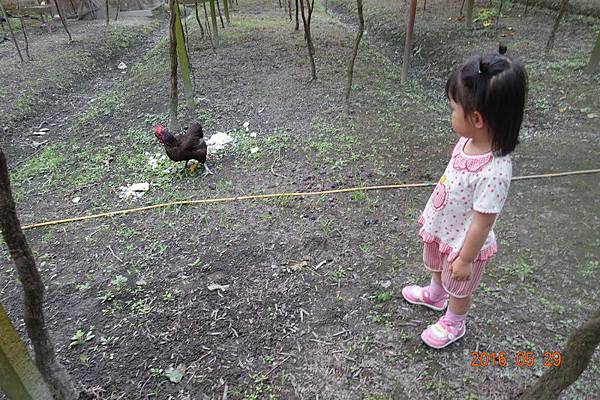 105.05.28-29江家族中彰遊 (222).JPG