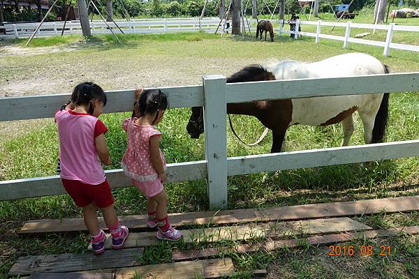 105.08.21淨園看動物 (7).JPG