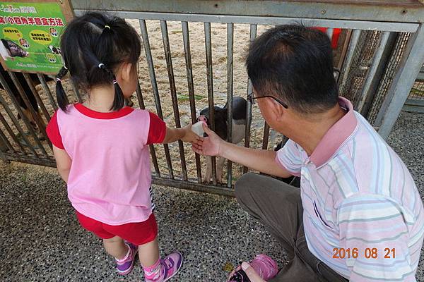 105.08.21淨園看動物 (27).JPG