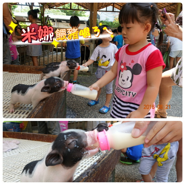 105.08.21淨園看動物 (86).jpg