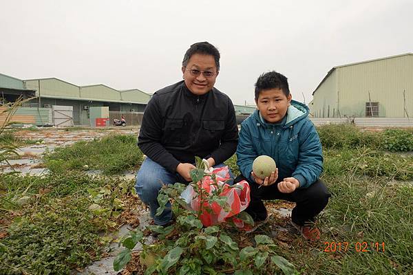 106.02.11元宵節採哈密瓜+香腸博物館做湯圓 (3).JPG