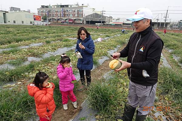 106.02.11元宵節採哈密瓜+香腸博物館做湯圓 (16).JPG