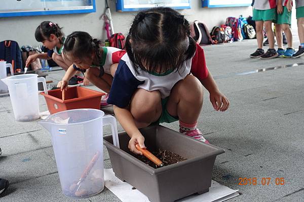 107.07.05傑尼爾幼兒園畢業班遊活動. (40).JPG