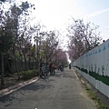 200602 044.jpg