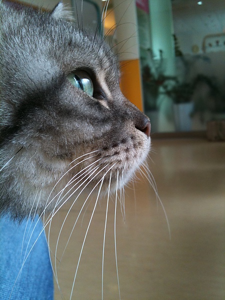 IMG_0719.JPG IMG_0719.JPG