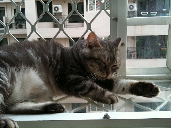 IMG_0600.JPG IMG_0600.JPG