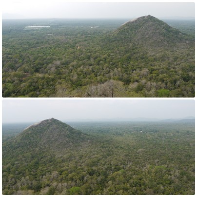 1031005-30獅子岩Sigiriya.JPG