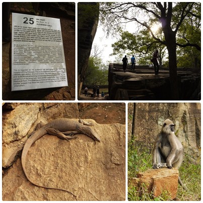 1031005-33獅子岩Sigiriya.JPG