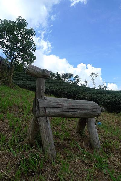 1050625-2野馬營地.JPG