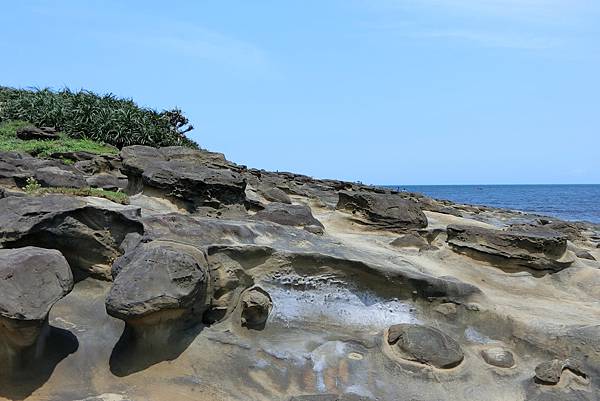 1060501-2象鼻岩.JPG 1060501-2象鼻岩.JPG