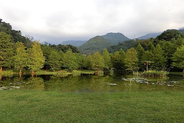 1060916-1雲水度假森林.JPG 1060916-1雲水度假森林.JPG