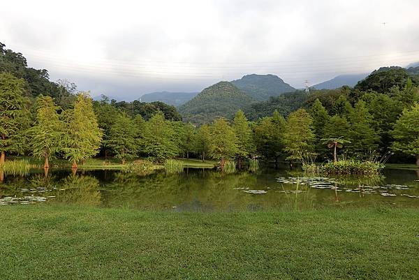 1060916-1雲水度假森林.JPG