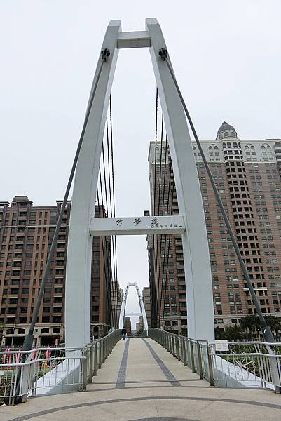 1070220-48桃園燈會2018籚竹燈區.JPG 1070220-48桃園燈會2018籚竹燈區.JPG