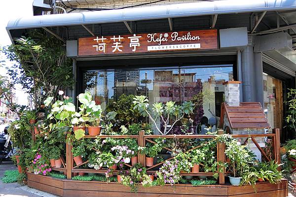 1070527-1荷芙葶.JPG 1070527-1荷芙葶.JPG