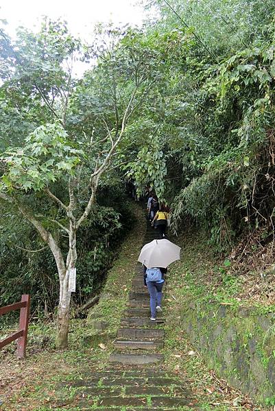 1070915-36二延平步道.JPG 1070915-36二延平步道.JPG