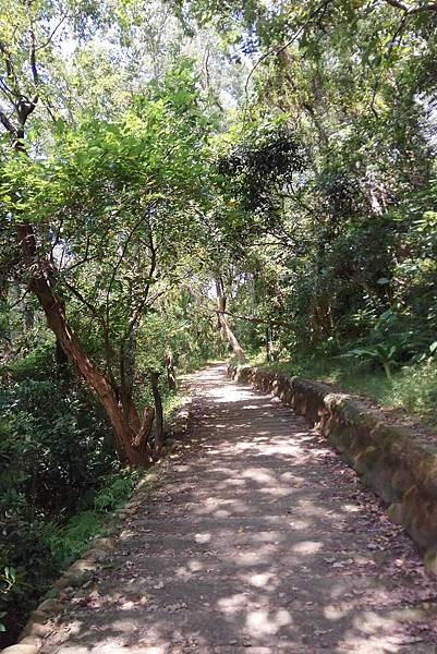 1071007-4鳯崎落日登山步道.jpg