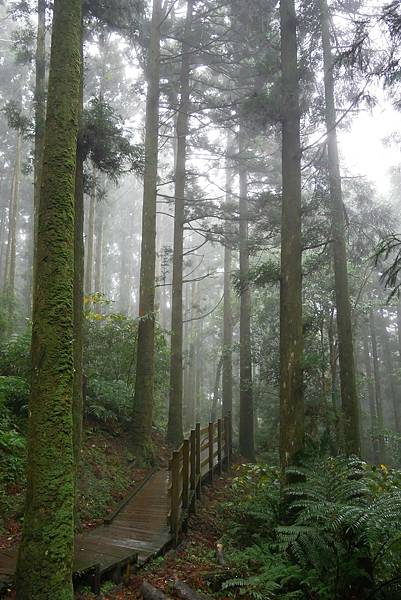 1091121-5東眼山森林遊樂園.JPG