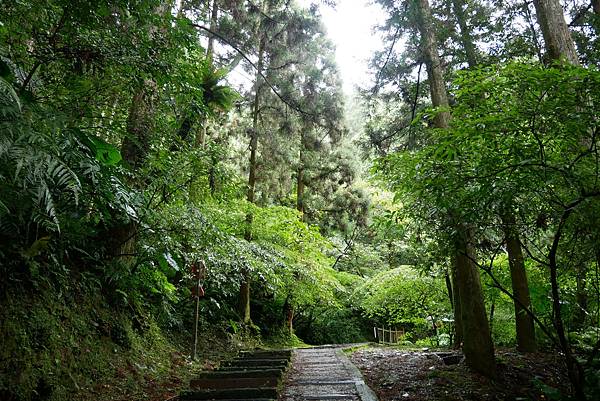 1091121-20東眼山森林遊樂園.JPG