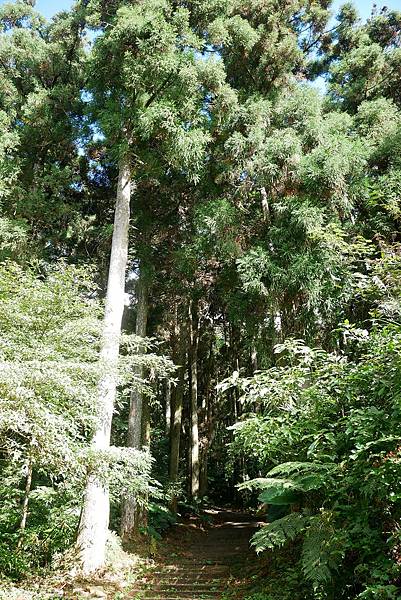 1091121-23東眼山森林遊樂園.JPG