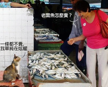 下一張(熱鍵:c)