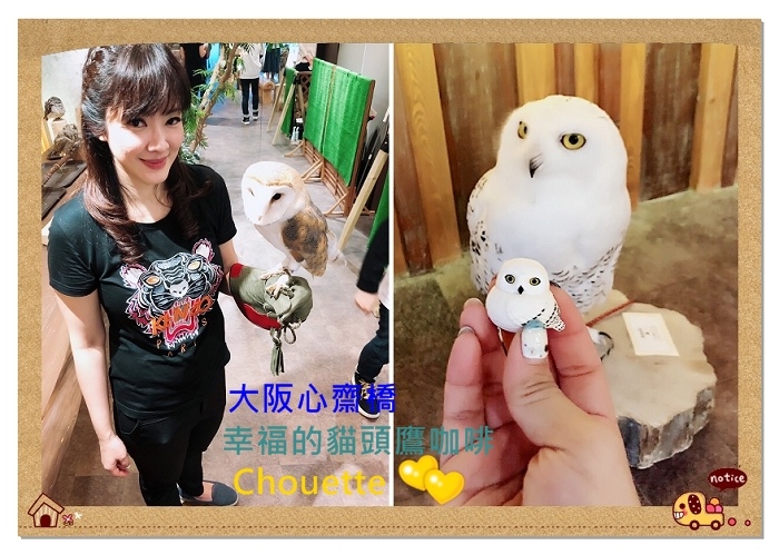 大阪特色餐廳 幸福的貓頭鷹咖啡chouette 幸せのフクロウカフェchouette 日本最大的貓頭鷹主題咖啡館 可以近距離與貓頭鷹接觸拍照互動 Vivian的美食樂園