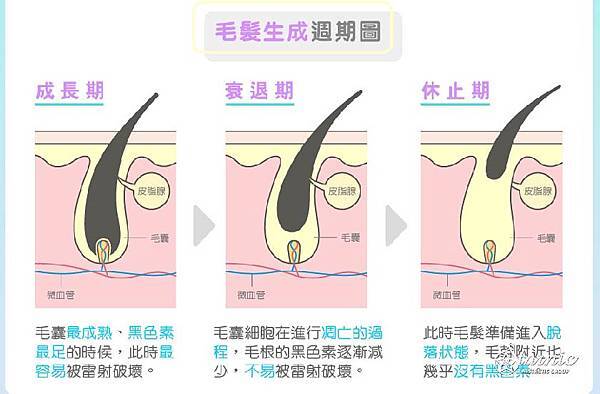 見證文版型-14(59).jpg