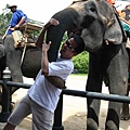 2008泰國第2天~大象主題樂園4合1