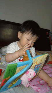 justin看布書.gif justin看布書.gif