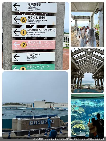沖繩旅遊遇卡努颱風攪局 | 旅遊不便險 |可樂旅遊迷你小團|