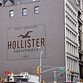 Hollister 