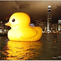 rubber duck 