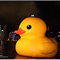 rubber duck 