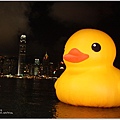 rubber duck 