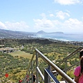 鑽石頭山diamond head mt.