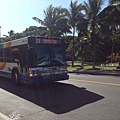 鑽石頭山diamond head mt.