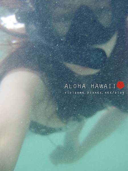 Hanauma Bay Snorkeling, HAWAII