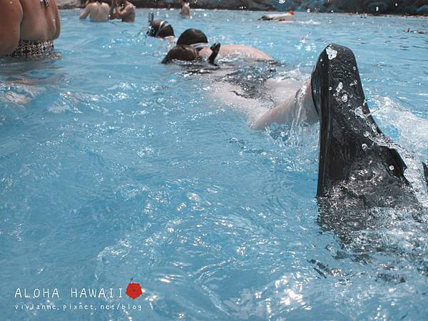 Hanauma Bay Snorkeling, HAWAII