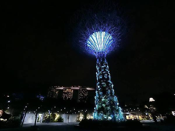 gardens by the bay