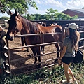 kualoa ranch horseback