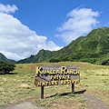 kualoa ranch古蘭尼牧場