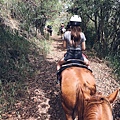 kualoa ranch horseback