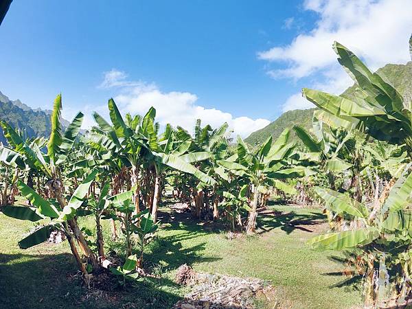 Kualoa Ranch