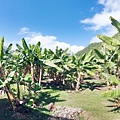 Kualoa Ranch