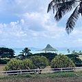 Kualoa Ranch