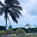 Kualoa Ranch