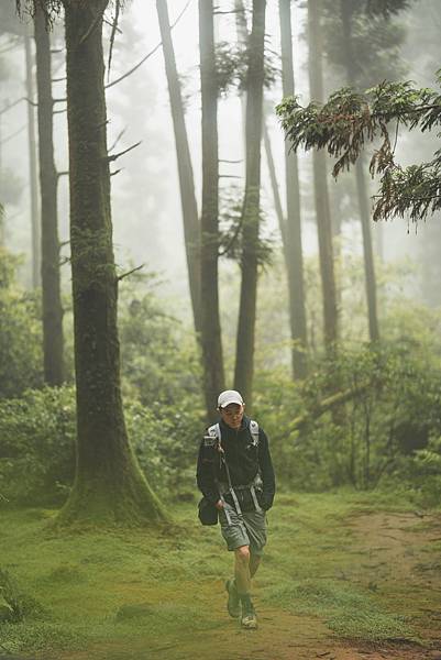 頂山石梯嶺步道