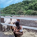 外澳小山丘馬場