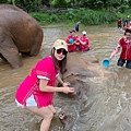 清邁Kerchor elephant eco park