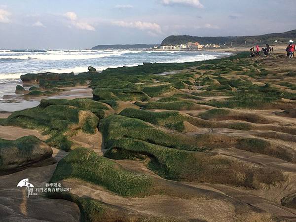 【台北北海岸一日遊行程推薦】石門老梅石槽，四五月限定美景，今年提早綠了！！！